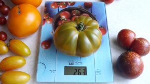 Томат Улуру Охра (Uluru Ochre)