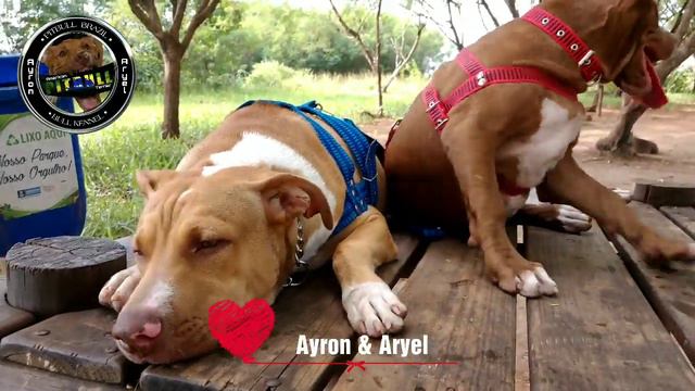 #Ayron & Aryel смотреть онлайн