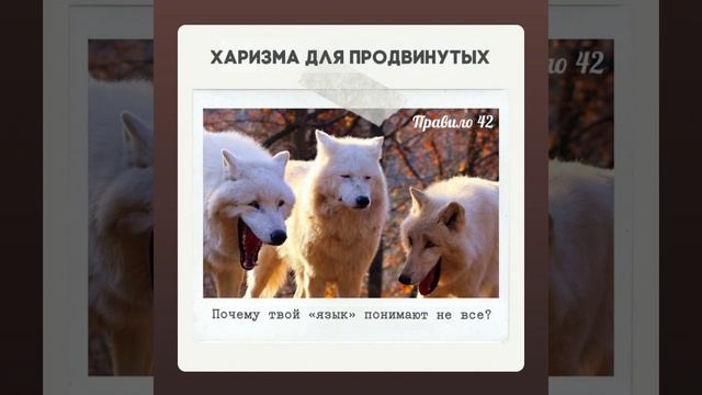 Правило 42 - Почему твой «язык» понимают не все? смотреть онлайн
