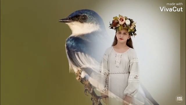 Наталья Рыженкова «Сила птаха» Вокальная группа «РАЗДОЛЬЕ» Руководитель Боярская Олеся смотреть онлайн