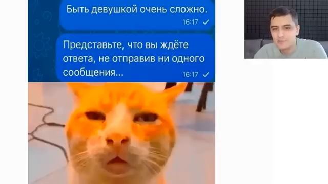 Новые приколы. Зачем кота высадила? смотреть онлайн