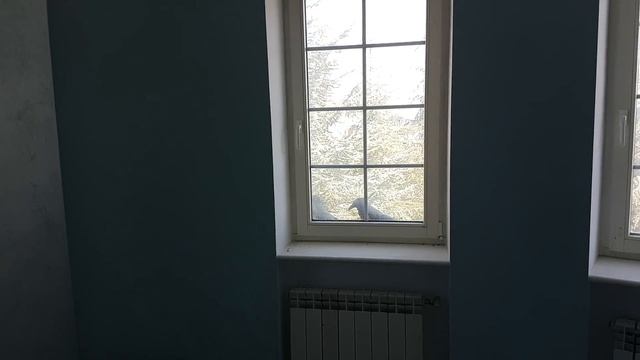 Вороны смотреть онлайн