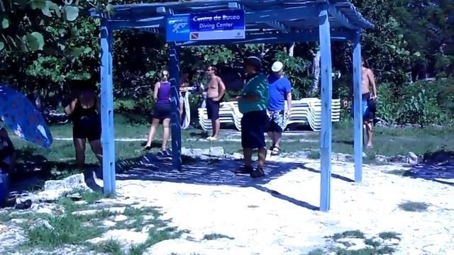 Залив свиней. 2011. смотреть онлайн