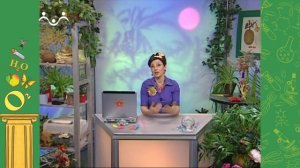 АЗН. Биология. Плавательный пузырь у рыб. Лисица