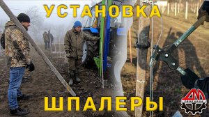 Установка шпалеры