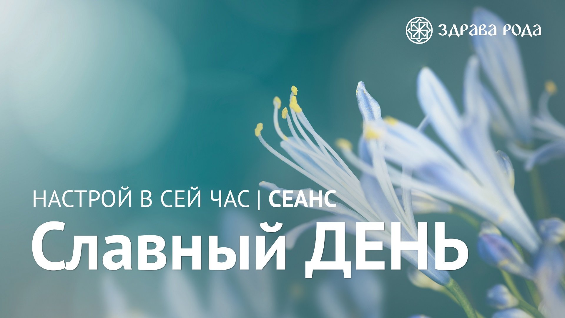 Славный день. Оздоровительный сеанс Здравы РОДА. смотреть онлайн