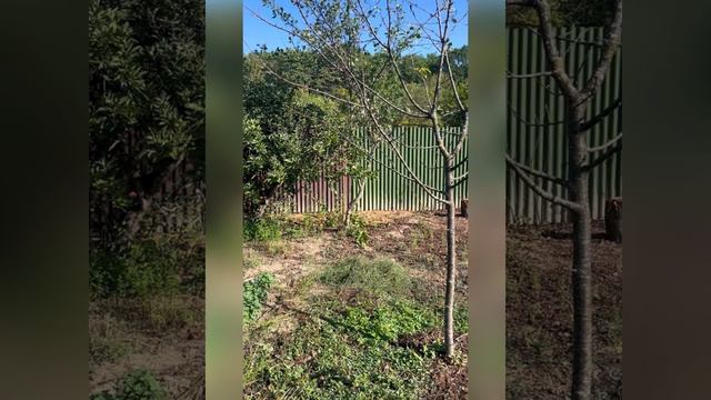 Забор из ондулина (отходы в доходы) смотреть онлайн