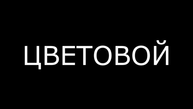 ПРОФЕССИОНАЛЬНАЯ АНИМАЦИЯ ТЕКСТА смотреть онлайн