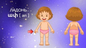 УЧИМ ЧАСТИ ТЕЛА НА АРМЯНСКОМ ДЛЯ ДЕТЕЙ И ВЗРОСЛЫХ | մարմնի մասեր | учить армянский с нуля | hayeren