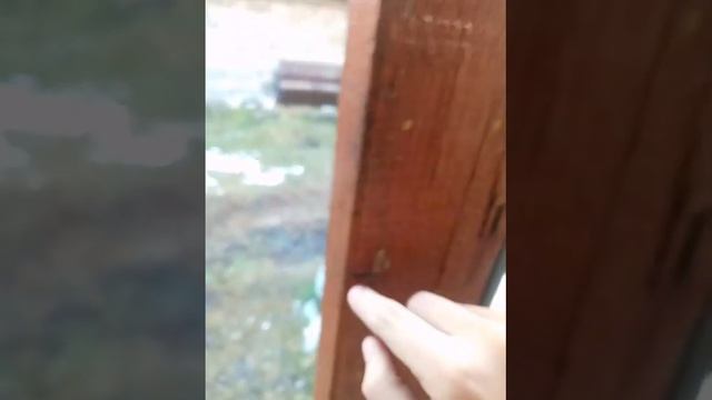 виват росия(4)