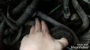 Пежо 206 не правильно включаются передачи АКПП