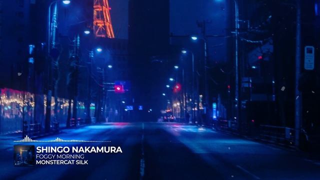 Shingo Nakamura - Foggy Morning [Monstercat Release] смотреть онлайн