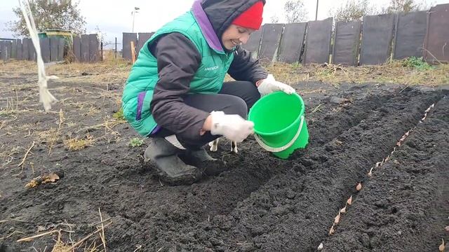 Сажаем чеснок I Взял кредит I Уехал в Воронеж смотреть онлайн