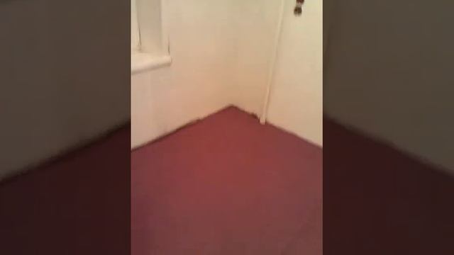 #Ремонт квартиры, процесс ремонта, ул.Домодедовская. смотреть онлайн