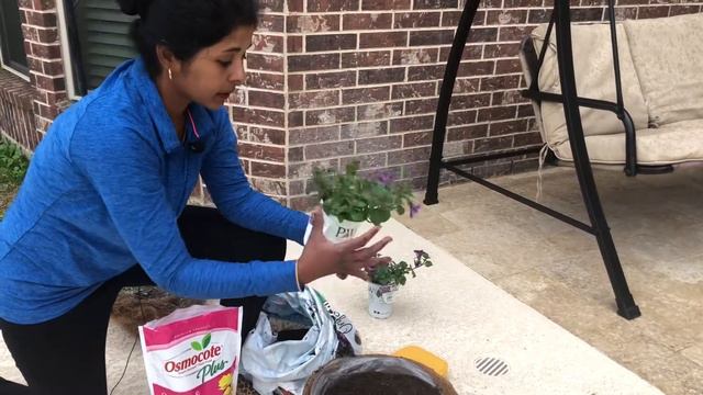 How To Create A Hanging Flower Basket/Easy Hanging Basket Guide