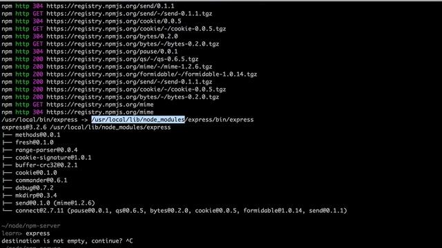 NPM: глобальные модули смотреть онлайн