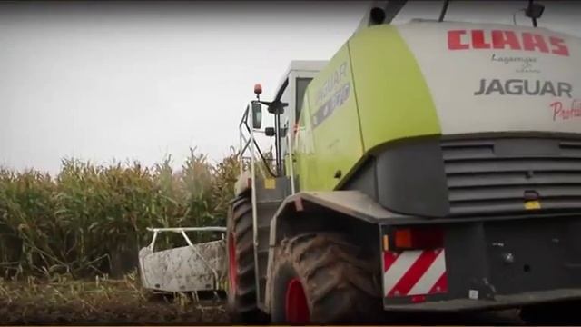 Силосная кукуруза: прогнозируем дату сбора урожая, ARVALIS смотреть онлайн