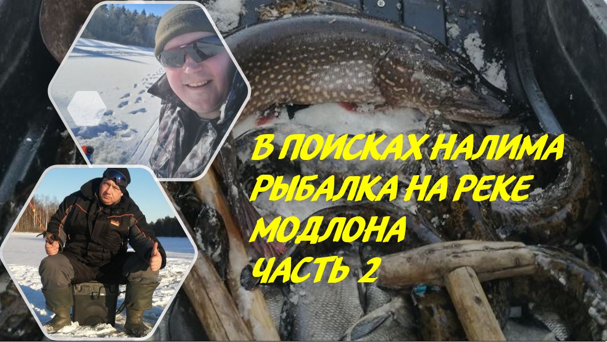 В поисках НАЛИМА. Рыбалка на реке Модлона Часть 2