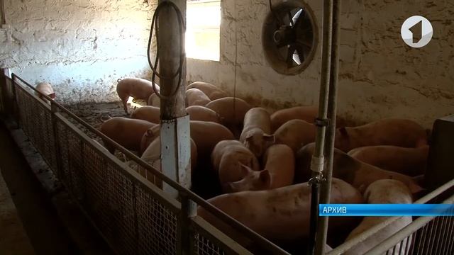 Шанс на развитие. Как получить льготный кредит для бизнеса? смотреть онлайн