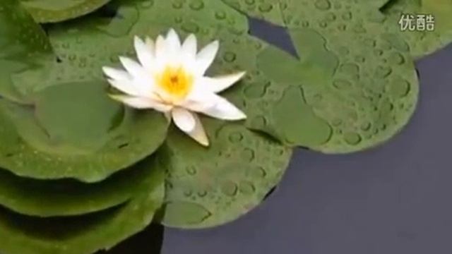 Welcome to Nantong University - Jiangsu, China смотреть онлайн