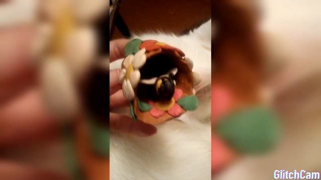 Пчела и домик пчелы из пластилина. смотреть онлайн