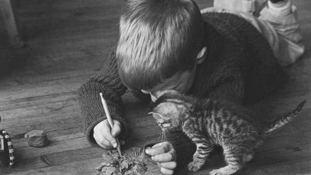 Красавица – И А Бунин смотреть онлайн