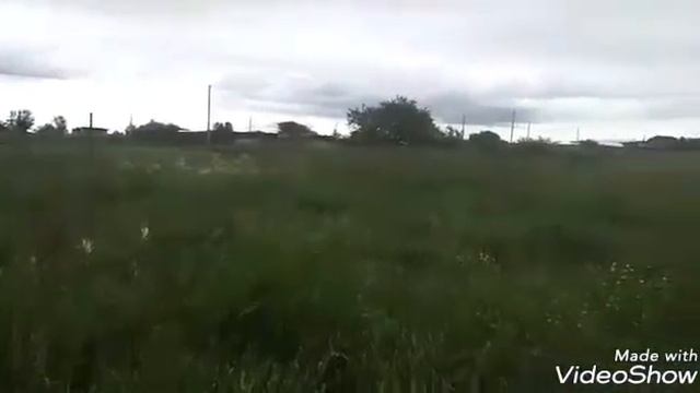 Video 20170710001714589 by videoshow смотреть онлайн