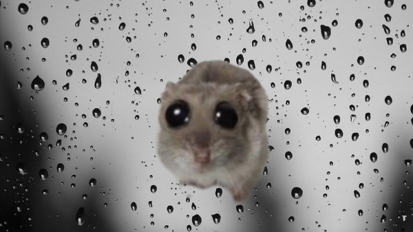 Грустные мемы