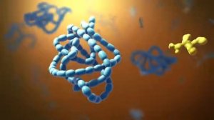 Что такое клетка,  человек состоит из множества клеток,  строение клетки