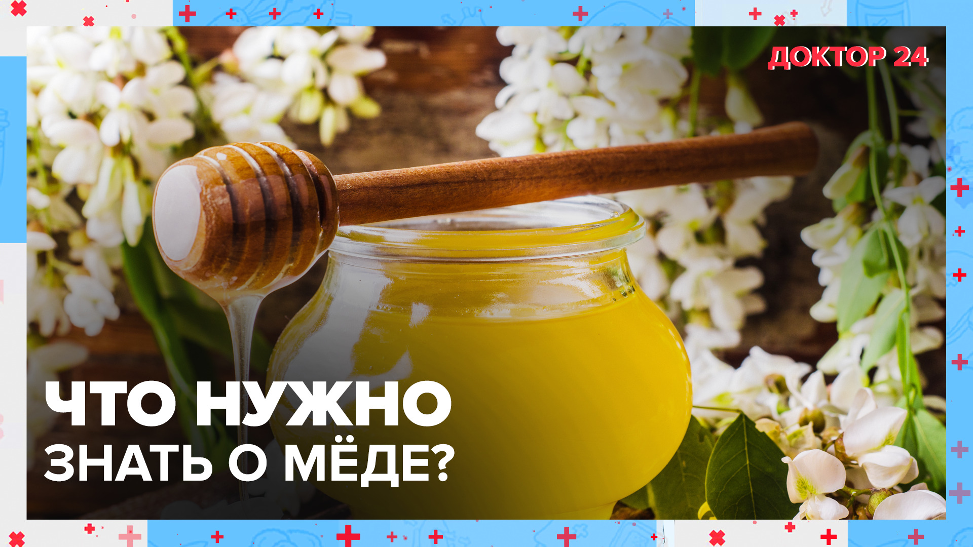 Какой МЁД – самый ПОЛЕЗНЫЙ? | Доктор 24 смотреть онлайн