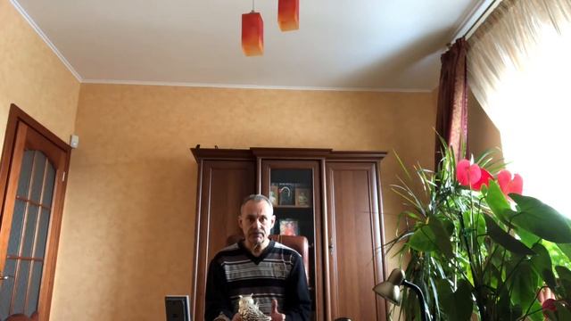 Лечение подагры корнями подсолнуха. смотреть онлайн