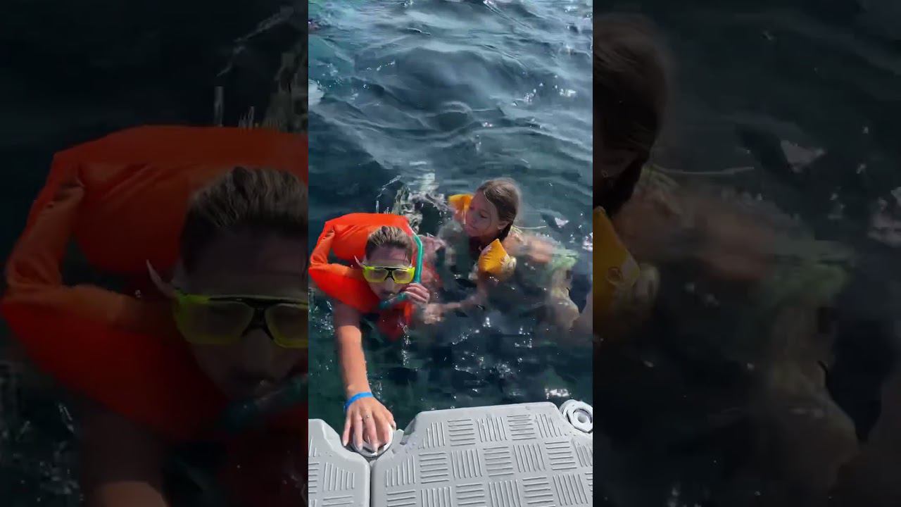 Приехали в Шарм-эль-Шейх, спасаемся от 45 градусной жары в красном море смотреть онлайн