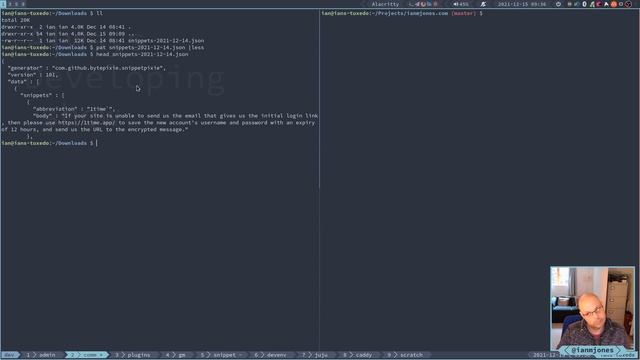 Snippet Pixie: Next - Start implementing JSON export format | Always Developing #100 ? смотреть онлайн
