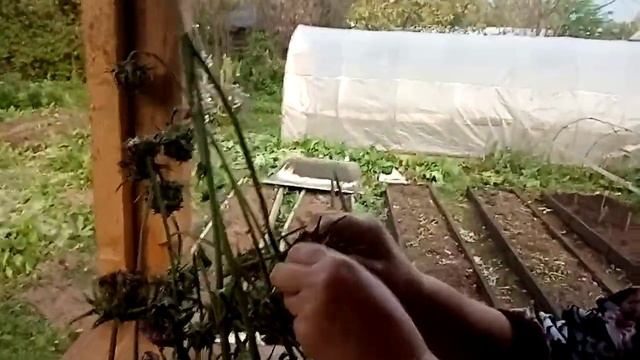 Сделай Это С Удовольствием