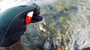 Испытание новых мушек. Ловля хариуса на горной реке. Часть первая