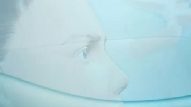 Dantex Group - Travatan смотреть онлайн