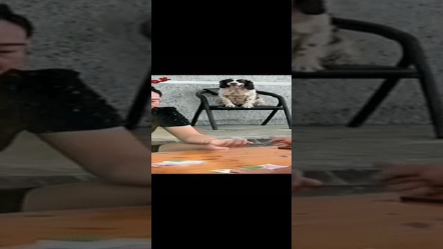 🤣🤣 смотреть онлайн