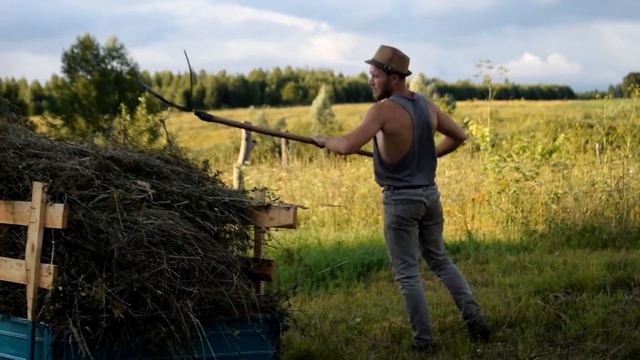 Есть сено? Тогда мы едем к вам на мотоблоке. Порадовали собак. Жизнь в деревне смотреть онлайн