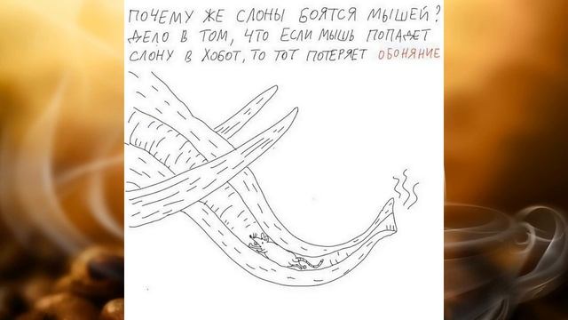 Почему колбасу режут под углом ? ВКУСНОЕ МЕНЮ. РЕЦЕПТЫ смотреть онлайн