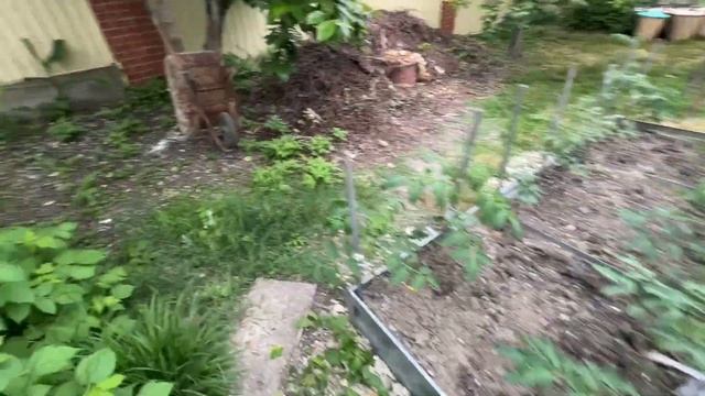 МОРЕ 2023 / ЦЕНЫ НА ЖИЛЬЕ / САД СПУСТЯ 10 ЛЕТ / ВЛОГ смотреть онлайн