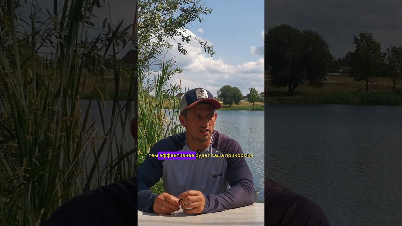 СПОРТИВНАЯ ЛОВЛЯ КАРПА. Где выбирать точки? #карпфишинг смотреть онлайн