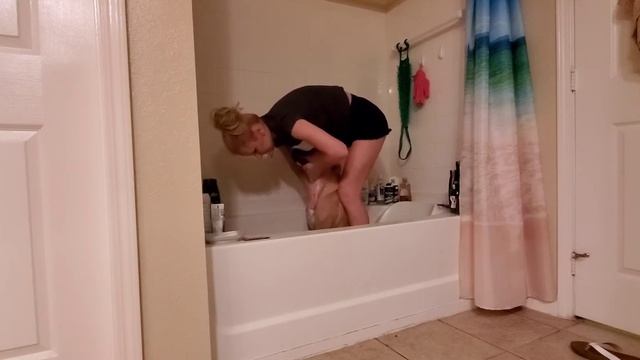 Как искупать собаку - How to bathe your dog смотреть онлайн