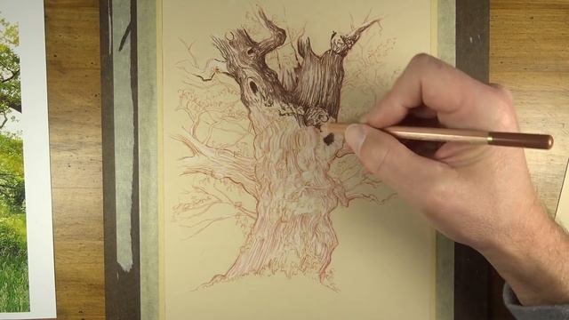 How to Draw an Old Tree смотреть онлайн