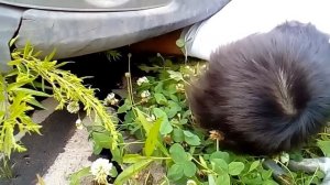 Замер компрессии и залив присадки R1 Metall от ВМП Авто