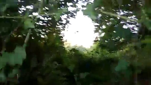Участок 5соток-500 000 руб, село Бестужевское, Пастушечья улица, 27 смотреть онлайн