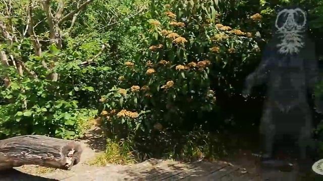 Зоопарк Франкфурт Германия Цена Билета Медведь Тигр Обезьяны|| Zoo Frankfurt am Main, Germany смотреть онлайн