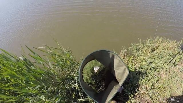 Ловля карася на флэт фидер, Flat Feeder, Марьянские пруды, рыбалка смотреть онлайн