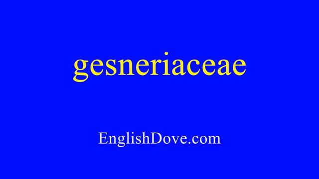 How to pronounce gesneriaceae in American English смотреть онлайн