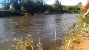 Рыбалка на реке Салмыш. Ловля на фидер 18.06.17 г.
