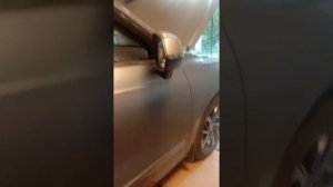 какое масло моторное заливаю при замене ХАВАЛ жулион 2вд